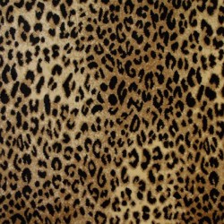 Agile Cheetah
